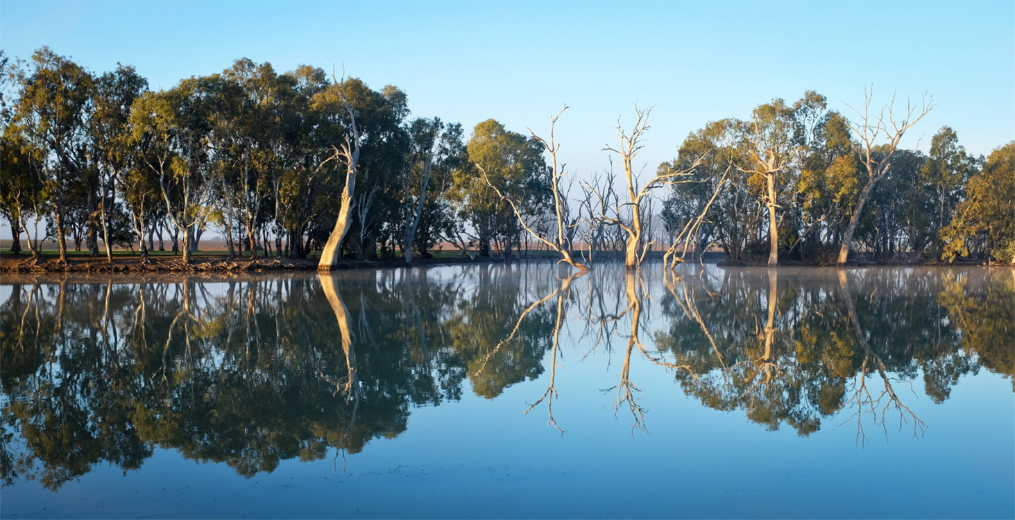 Beyond sustainability: valuing and managing natural resources.