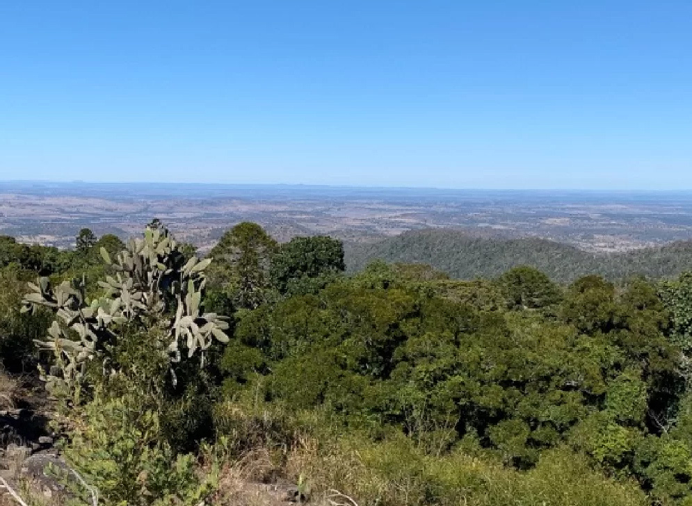 Bunya Mountains – Russell Park MTB Trails