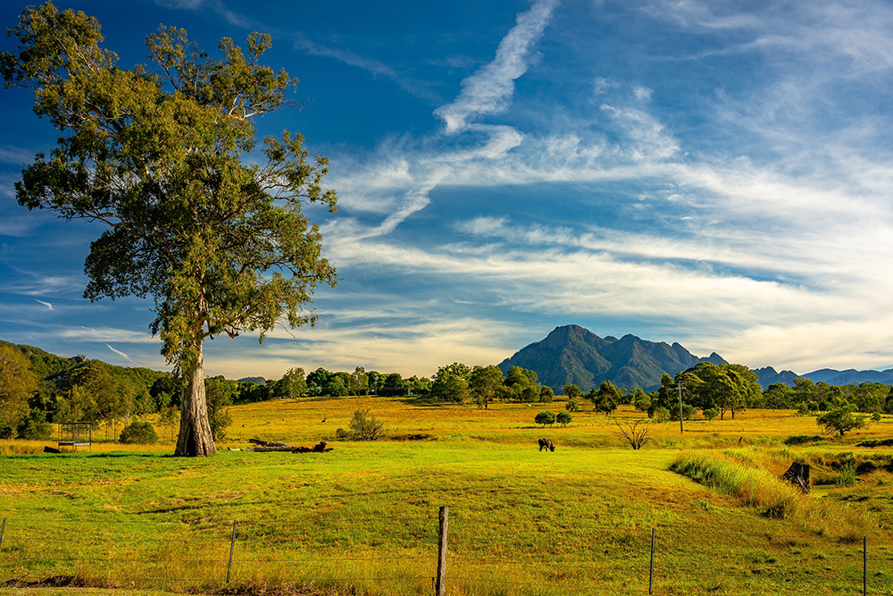 NSW Net Zero report supports renewables growth and focus on land use.