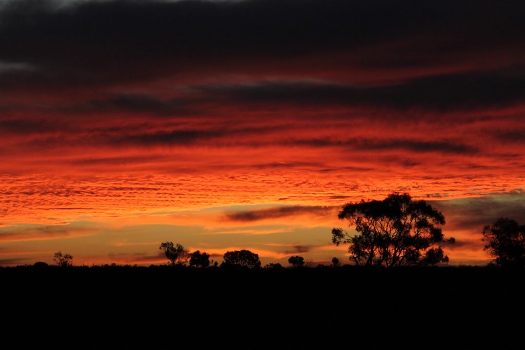 Sunset in the Strzelecki Desert