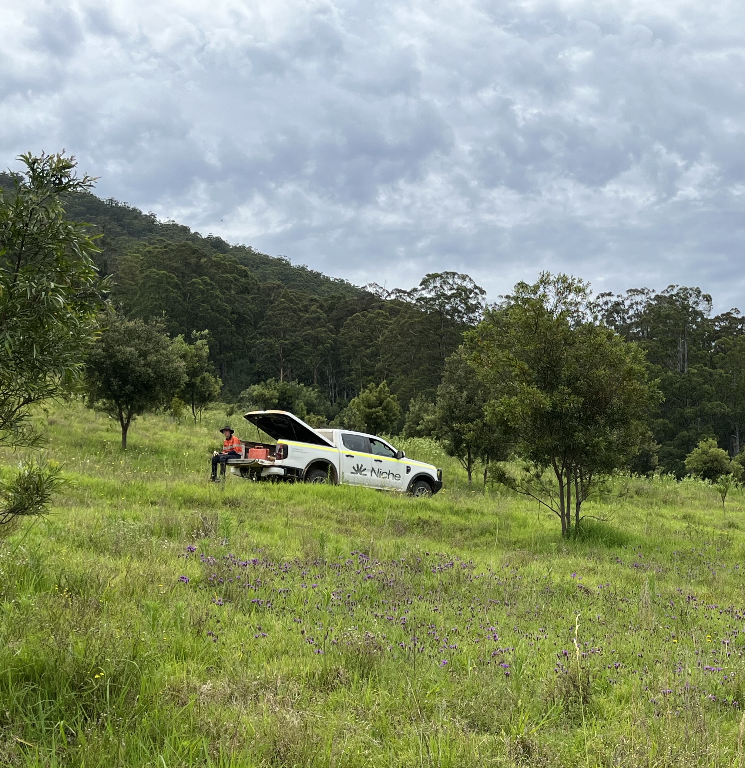 Lessons from on the ground at a Nature Repair Market project