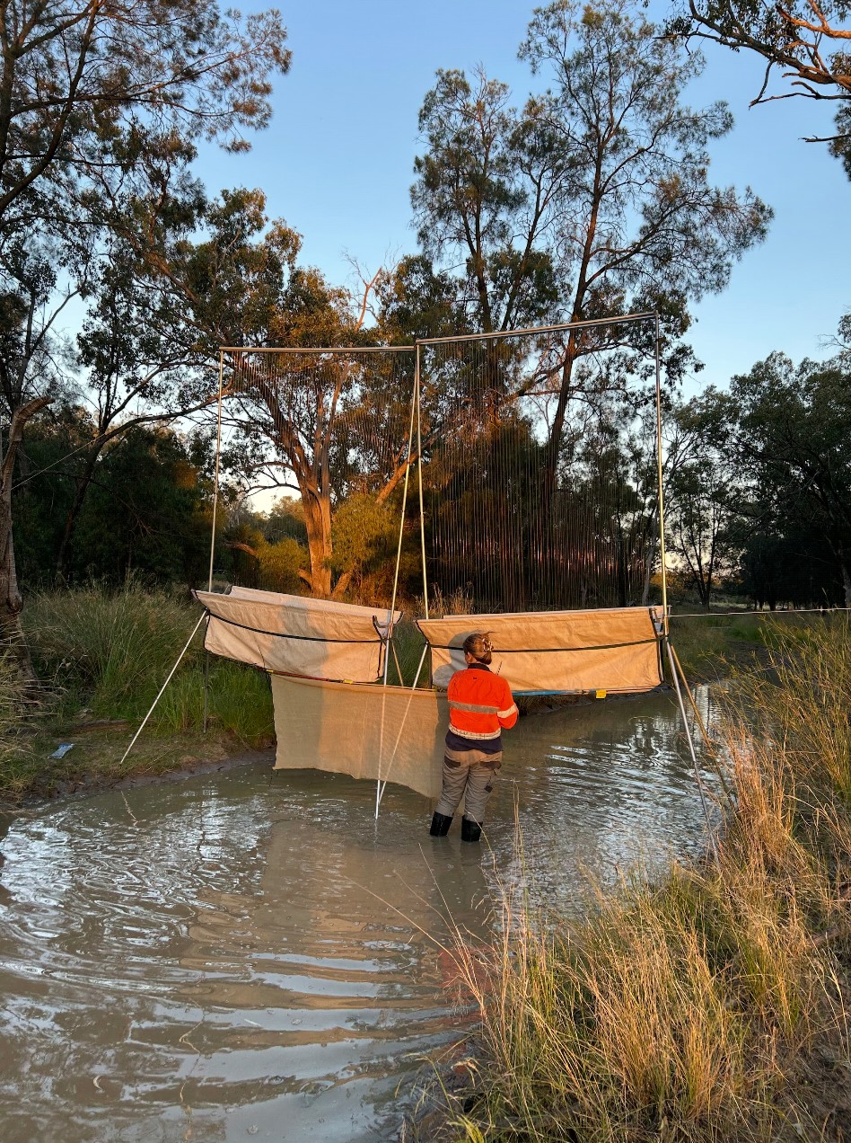 Unlocking the future of Bat Collision Risk Assessments in wind energy