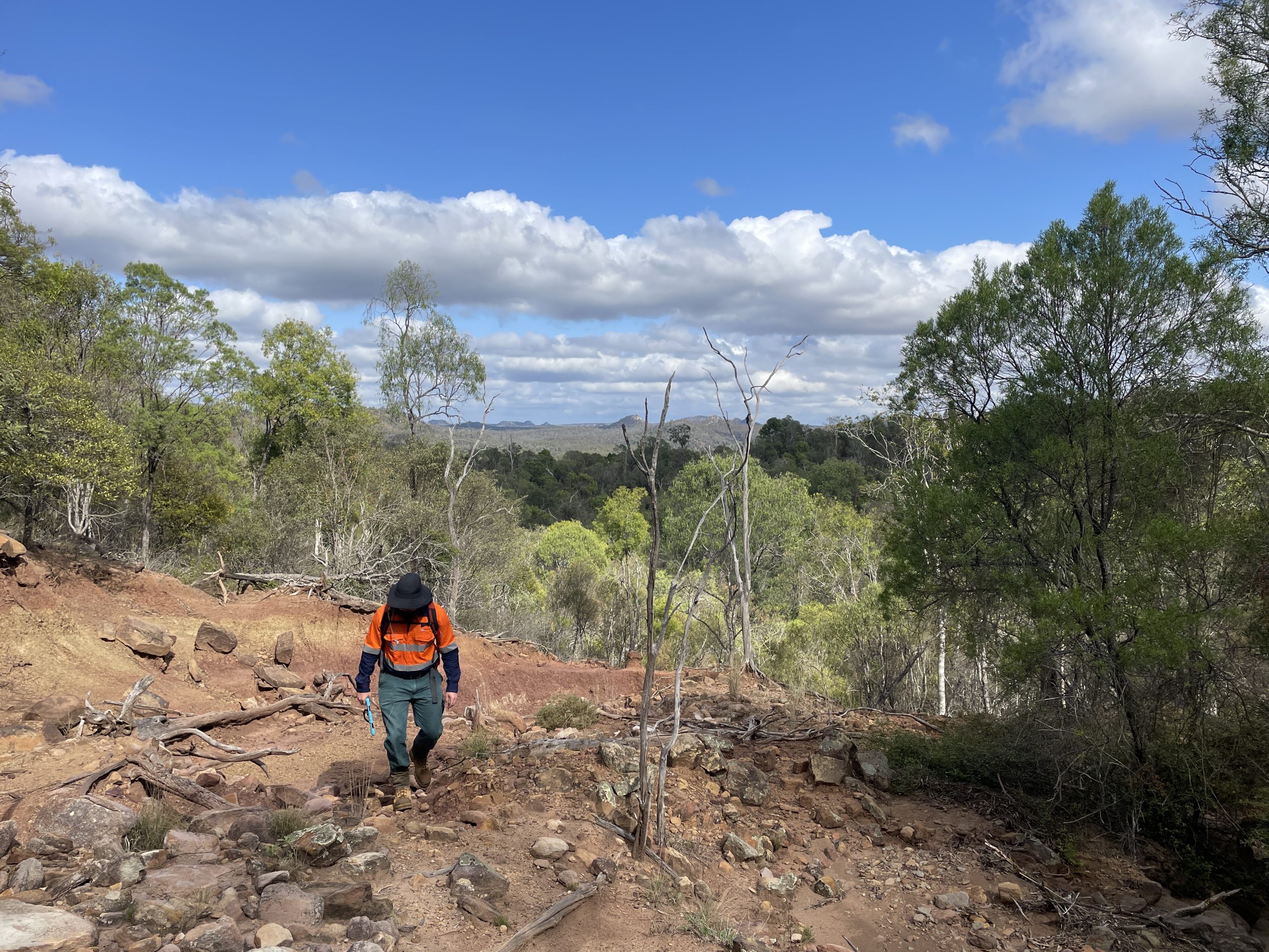 New National Environmental Standards: Impacts for developers in NSW