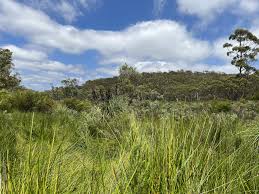 EPBC Act approvals– what’s changed for landholders and developers?